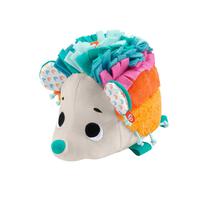 Fisher-Price Cuddle n' Snuggle Hedgehog Plush Toy