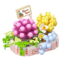 KOCO Preserved Fresh Flower Rose