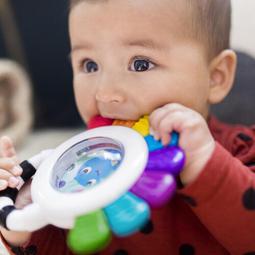 Baby Einstein Opus'S Sea Of Senses Gift Set