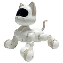 Playpop Radio Controlled Robo Cat
