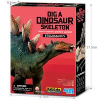 4M Dig A Dinosaur Skeleton Stegosaurus