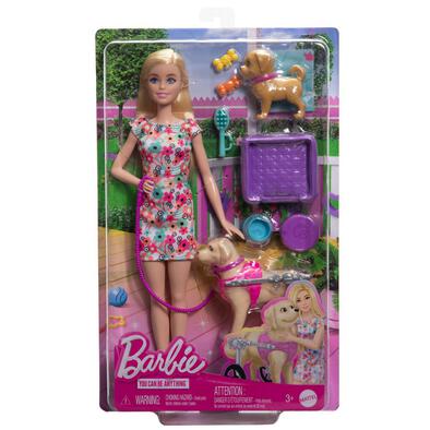 Barbie Doll With Puppy In Wheelchair Set