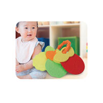 Top Tots Colourful Fruit Teether