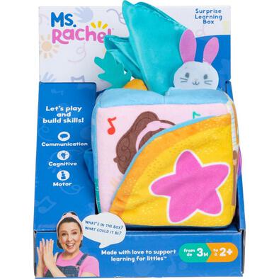 Ms.Rachel Suprise Learning Box