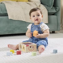 Fisher Price Wood Flexi Shape Sorter