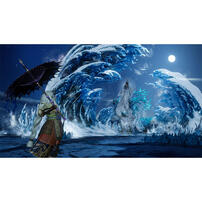 Nintendo Switch Wild Hearts S