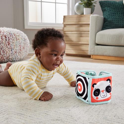 Fisher-Price Soft Tummy Time Panel