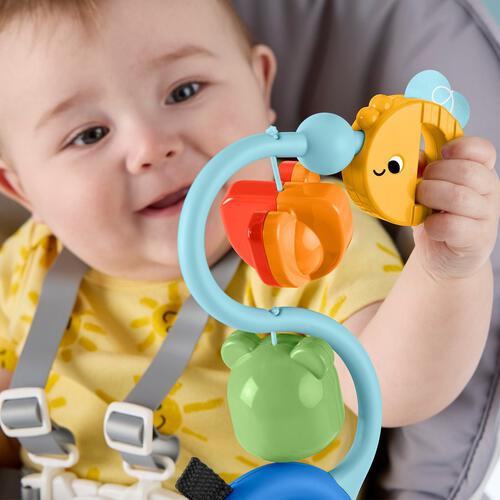 Fisher Price Newborn Suction Cup Toy