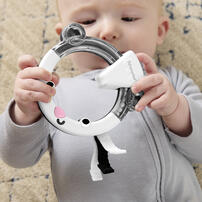 Fisher Price Easy Grasp Rattle (Hang Tag) - Assorted