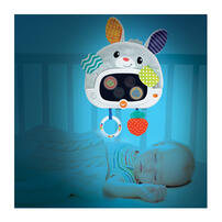 playpop Day'N Night Bunny Pal