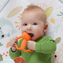 Fisher Price Newborn Teether - Assorted