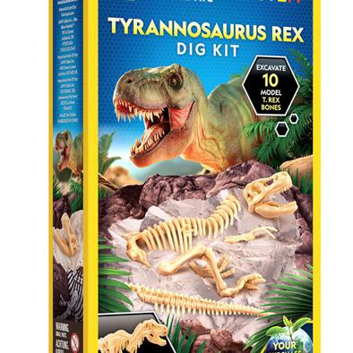 National Geographic T-Rex Skeleton Dig Kit
