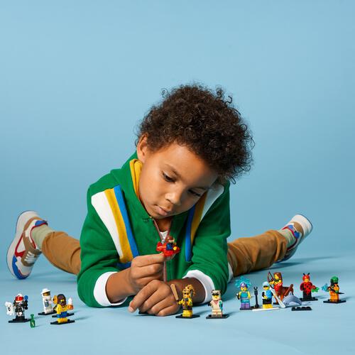LEGO Minifigures Series 21 71029