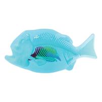 Dissect It Synthetic Dissection Piranha