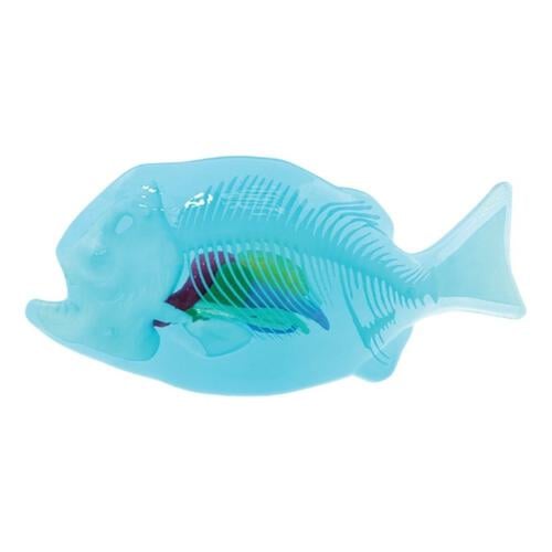 Dissect It Synthetic Dissection Piranha