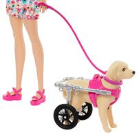 Barbie Doll With Puppy In Wheelchair Set