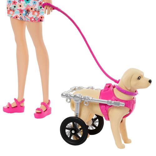Barbie Doll With Puppy In Wheelchair Set
