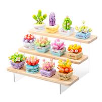 KOCO Succulent Potted Plants - Assortment