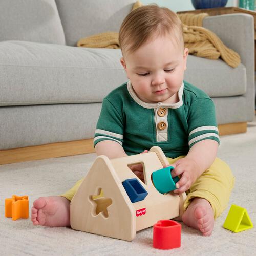 Fisher-Price Wood Silicone Shape Sorter​