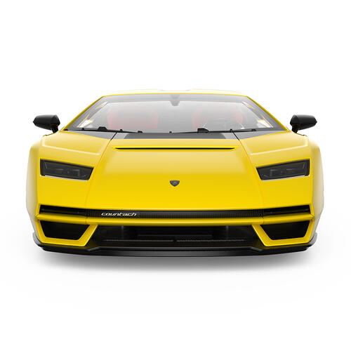Rastar 1:16 Lamborghini Countach Remote Controlled Car