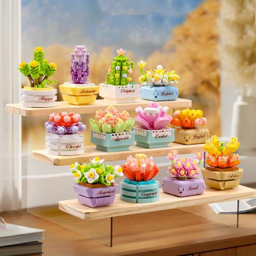 KOCO Succulent Potted Plants - Assortment