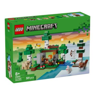 LEGO Minecraft First Night Adventure 21593
