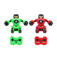 playpop R/C Boxing Game Robot