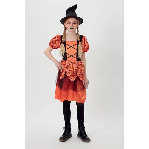 Wealth Ind Halloween Girl Witch Costume