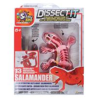 Dissect It Synthetic Dissection Salamand