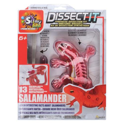Dissect It Synthetic Dissection Salamand