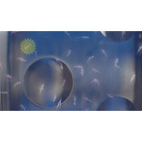 The Original Sea Monkeys Ocean Zoo - Assorted