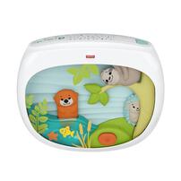 Fisher-Price New Born Settle & Sleep Projection Soother