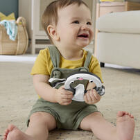 Fisher Price Easy Grasp Rattle (Hang Tag) - Assorted