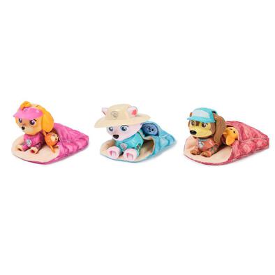 Paw Patrol Skye'S Camping Figures - Assorted
