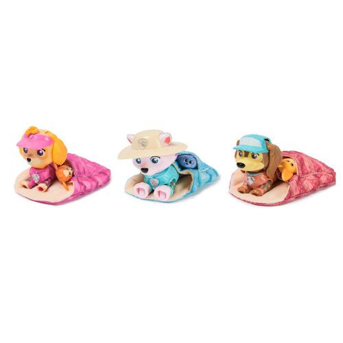 Paw Patrol Skye'S Camping Figures - Assorted