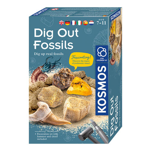 Kosmos Fun Science Dig Out Fossils