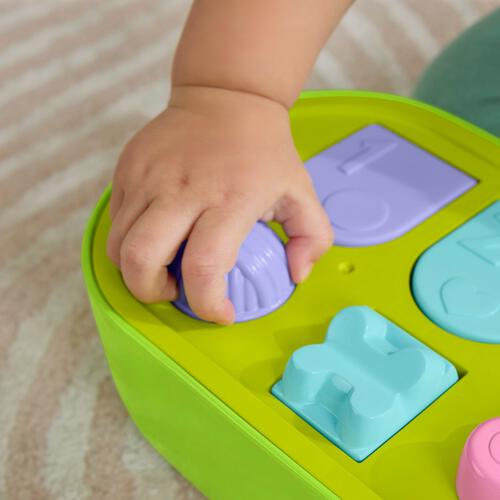 Fisher-Price Infant Pets Pop Up