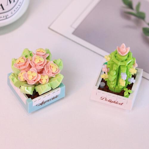 KOCO Succulent Potted Plants - Assortment