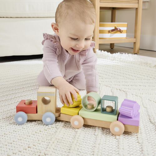 Fisher Price Wood Silicone Shape Train