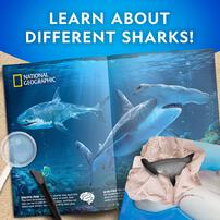 National Geographic Shark Dig Kit