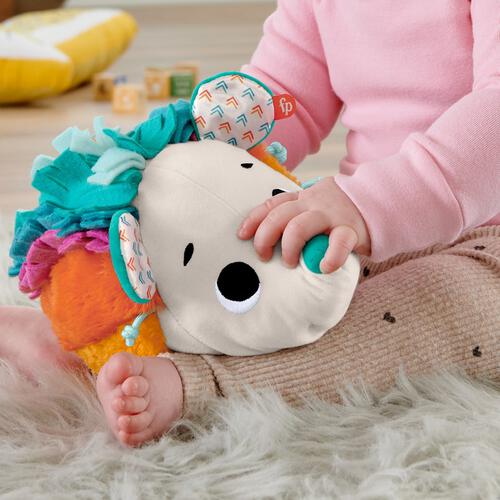 Fisher-Price Cuddle n' Snuggle Hedgehog Plush Toy
