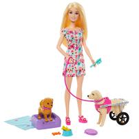 Barbie Doll With Puppy In Wheelchair Set