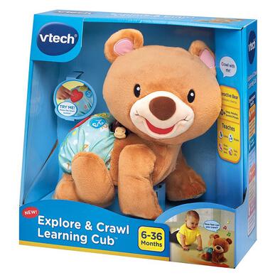 Vtech Crawl Along Bear