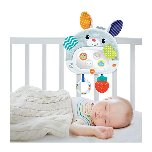 playpop Day'N Night Bunny Pal