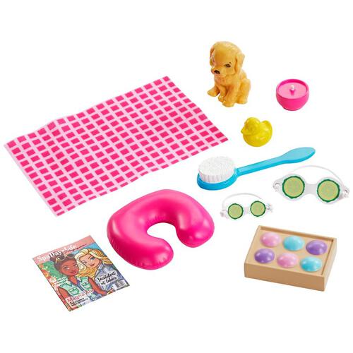 Barbie Wellness Doll With Accessories - Assorted