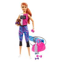 Barbie Wellness Doll With Accessories - Assorted