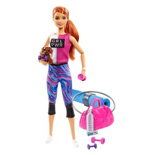 Barbie Wellness Doll With Accessories - Assorted