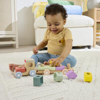 Fisher Price Wood Silicone Shape Train