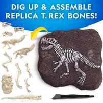 National Geographic T-Rex Skeleton Dig Kit