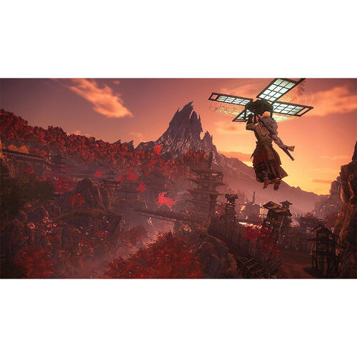 Nintendo Switch Wild Hearts S